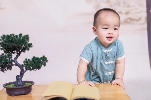 梅州可爱的企鹅宝宝